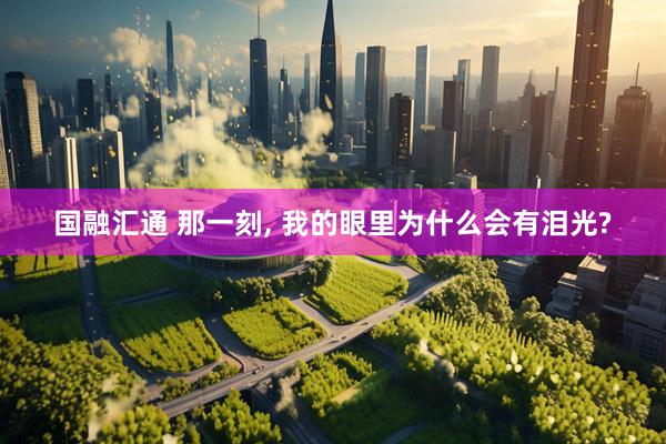 国融汇通 那一刻, 我的眼里为什么会有泪光?